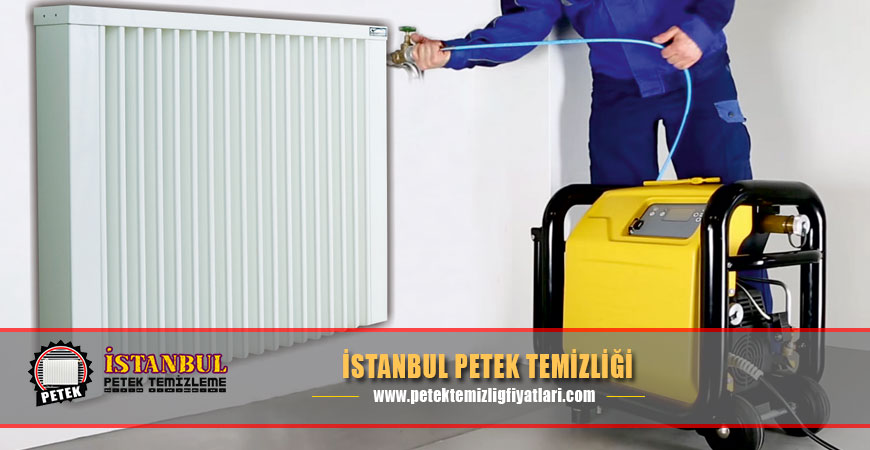 İstanbul Petek Temizliği