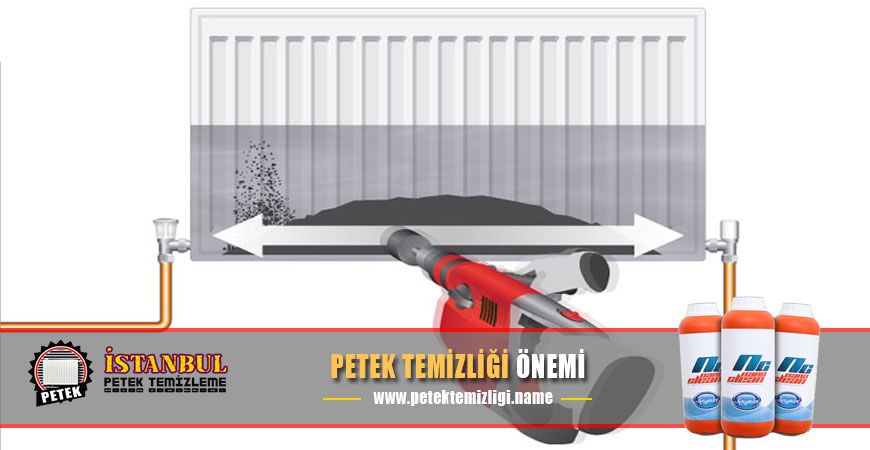 başakşehir petek temizleme